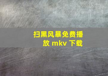 扫黑风暴免费播放 mkv 下载